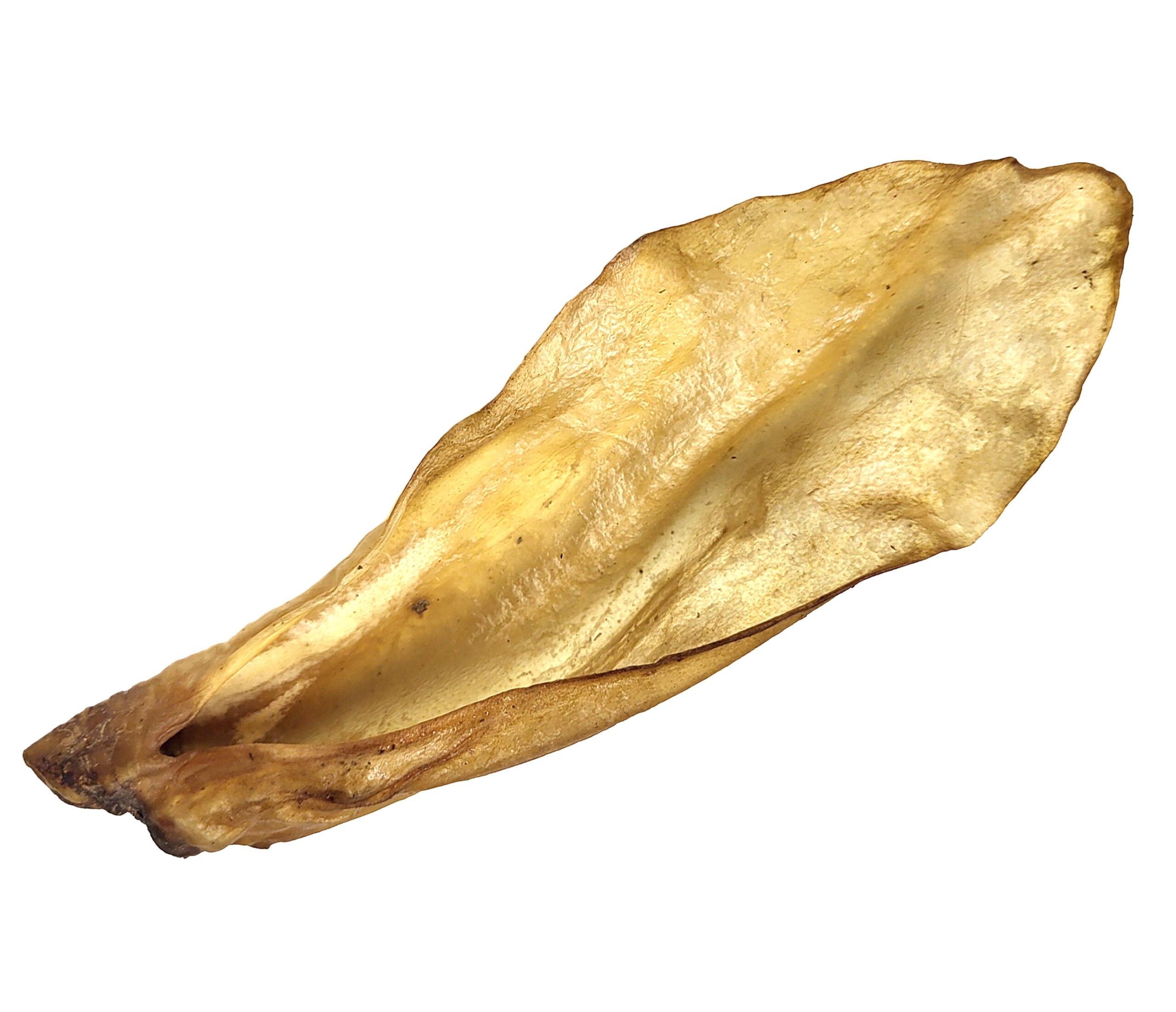 feb316f09eb4129a4f1aaaf5357ab0a0