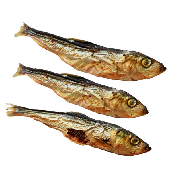 ŚLEDŹ BAŁTYCKI-RYBA SUSZONA - 500g ok. 90szt. DLA PSA