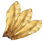 5a185644f178d745954280a84d9518d9