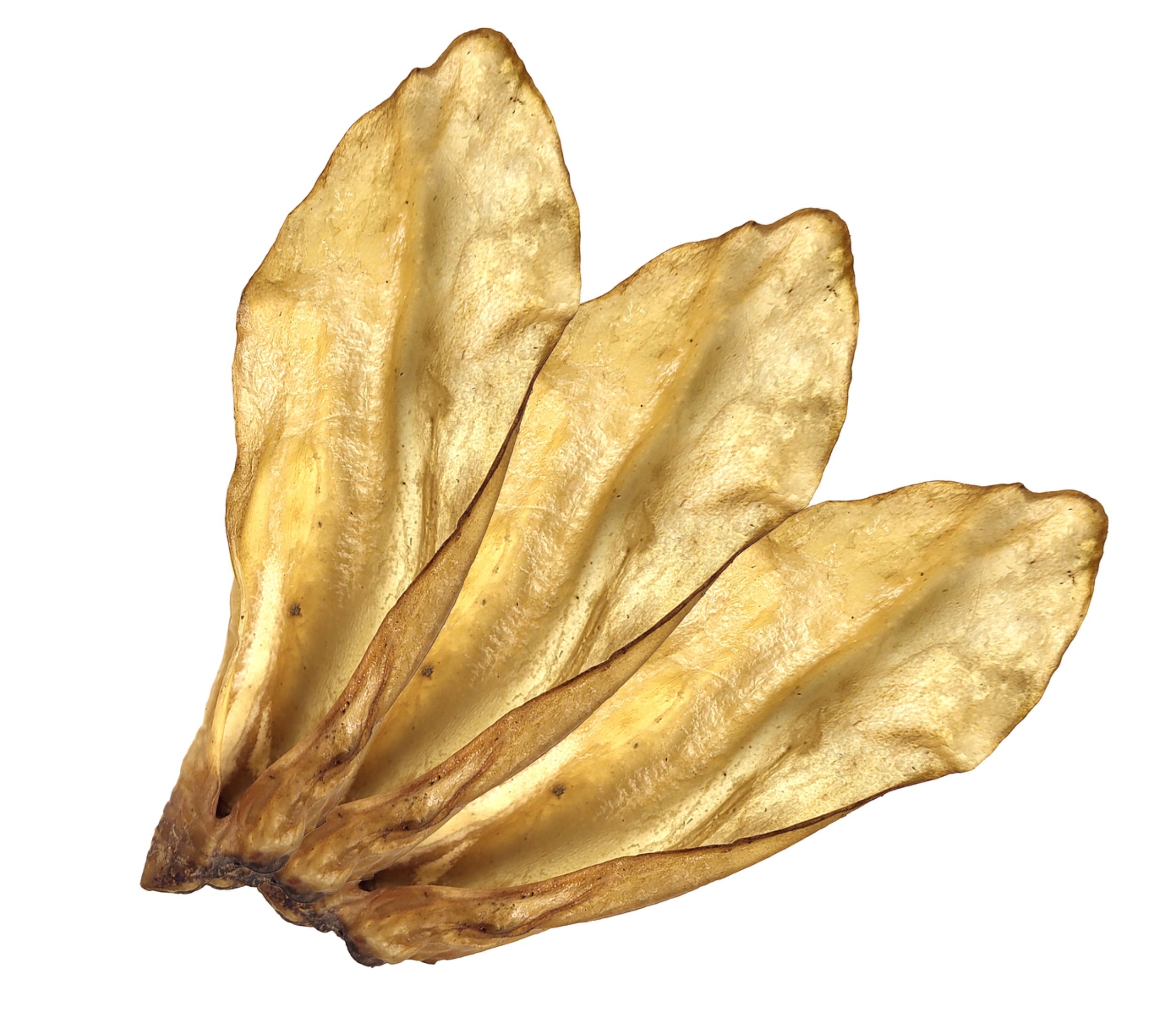 5a185644f178d745954280a84d9518d9