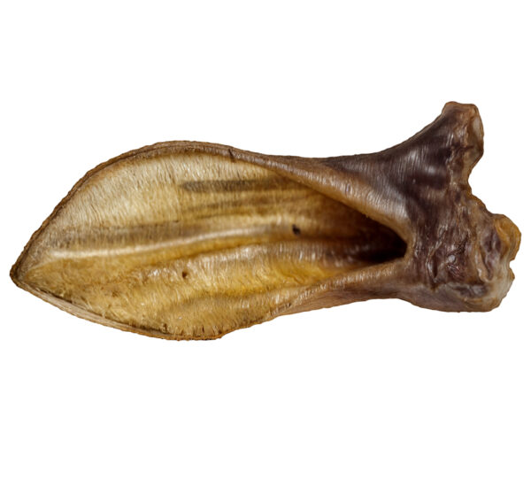 UCHO BARANIE - 1szt. NATURALNY GRYZAK DLA PSA