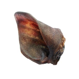 UCHO DZIKA - 1szt. waga ok. 50g GRYZAK DLA PSA