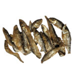 7b2404c96000a9bcc45affbec815fd08