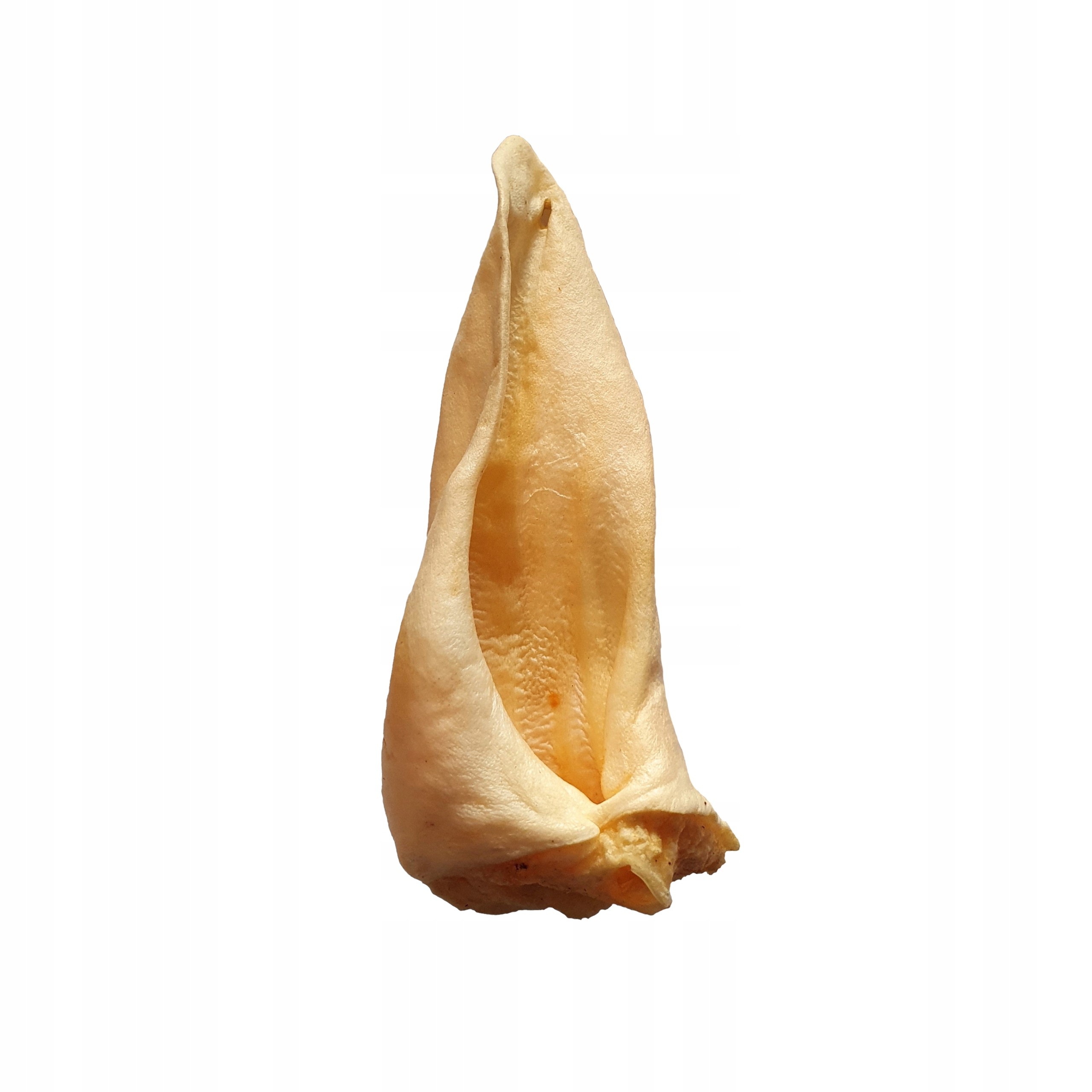 422fd4e1c79ab5bd0083ca6d91bd1edb