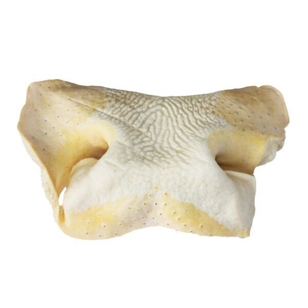 NOSY WOŁOWE BIAŁE- 500g ok. 5szt. GRYZAK DLA PSA