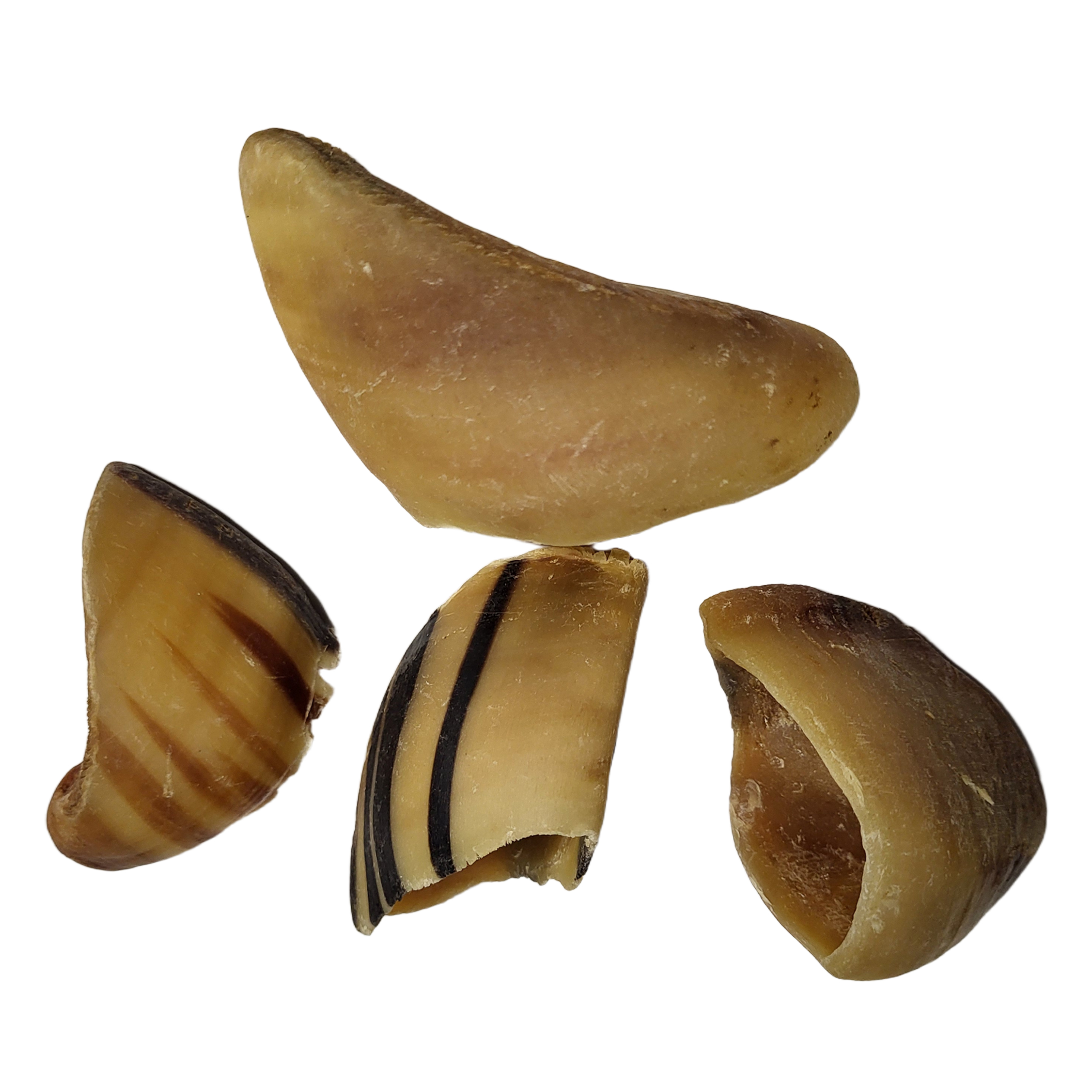 cd7f37752bb6c230f599f897aa4b023a