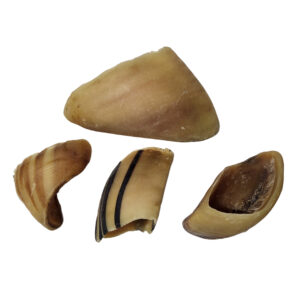 1368ca6384263722cc0aaaf872fda314