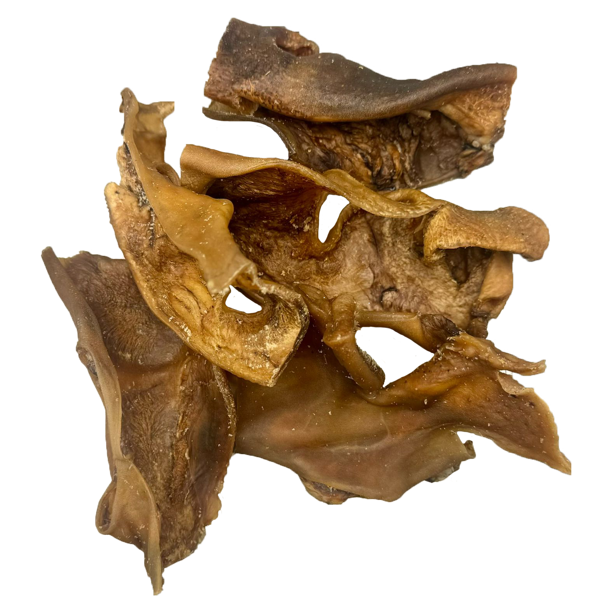 6a11f3ec975c6279249240201a2c4748