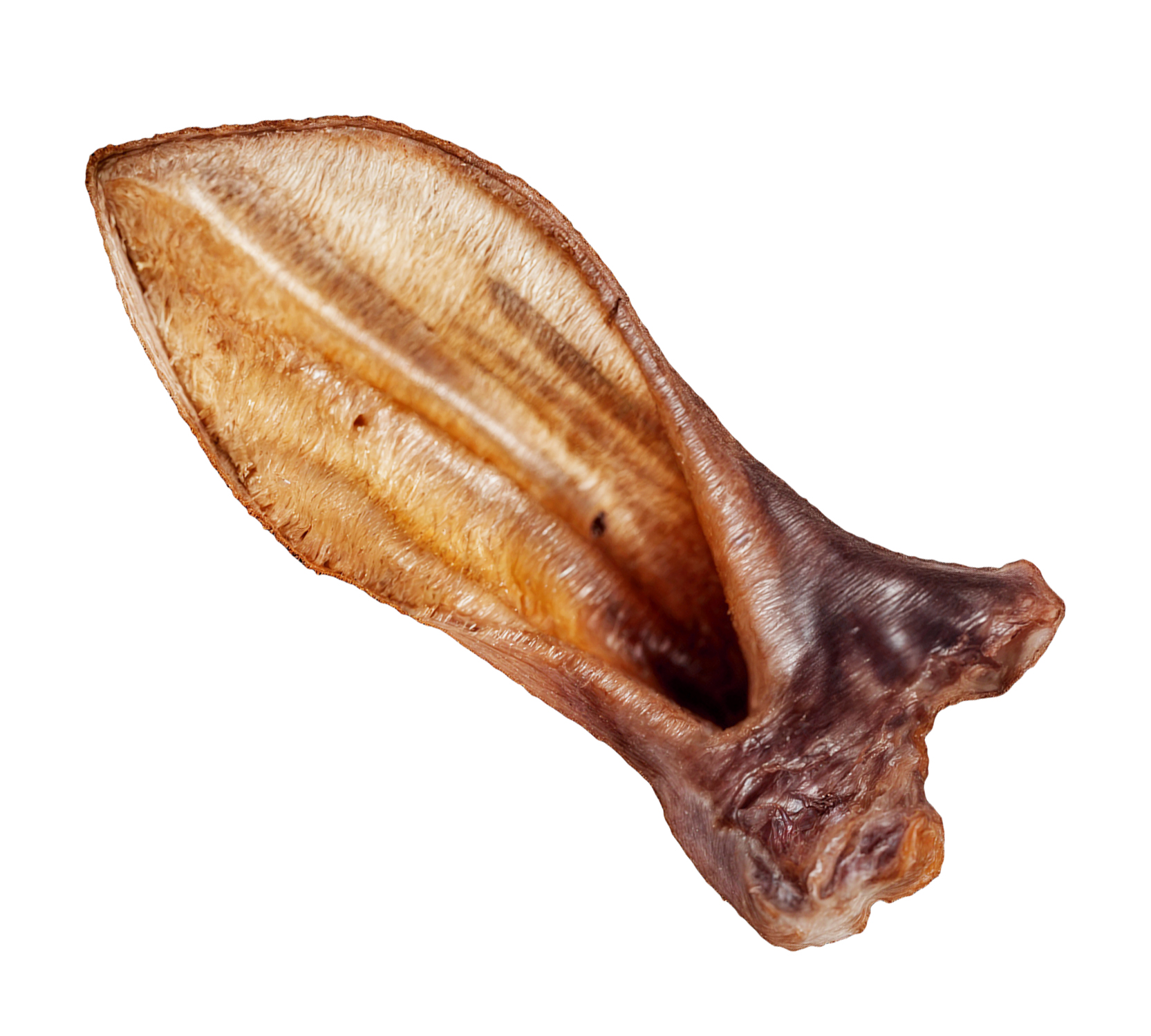 UCHO JAGNIĘCE MAŁE - 1szt. - NATURALNY GRYZAK DLA PSA